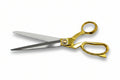 High-quality fabric/buttonhole scissors 28cm