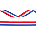 Printed ribbon